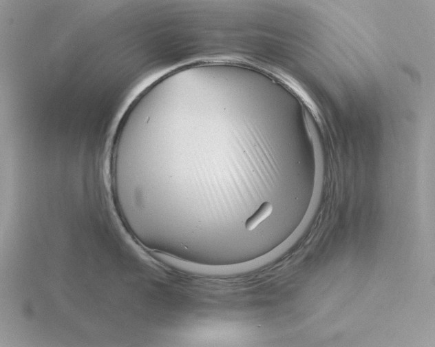 X0000115820959200912111248