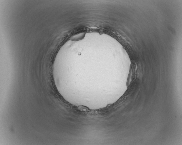 X0000115820961200912111247