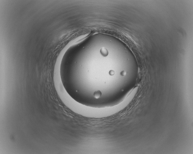 X0000115820965200912111247