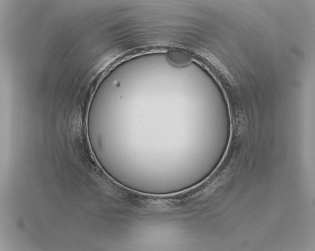 X0000115820969200912111247