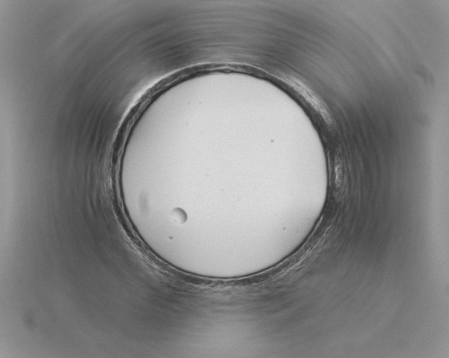 X0000115820972200912111247