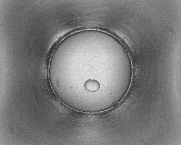 X0000115820973200912111247