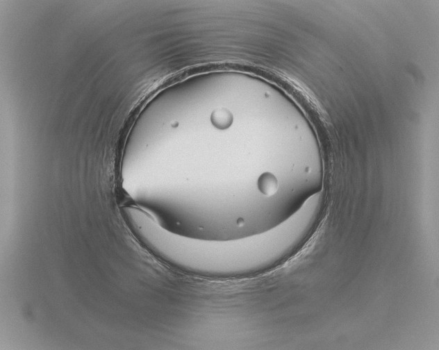 X0000115820977200912111247