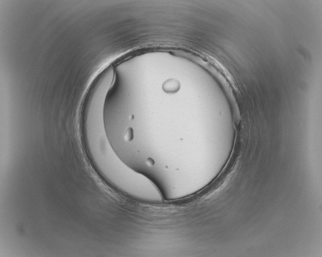 X0000115820981200912111247