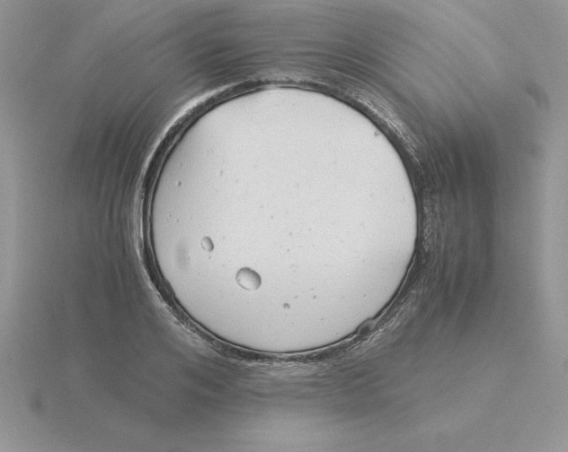 X0000115820984200912111247