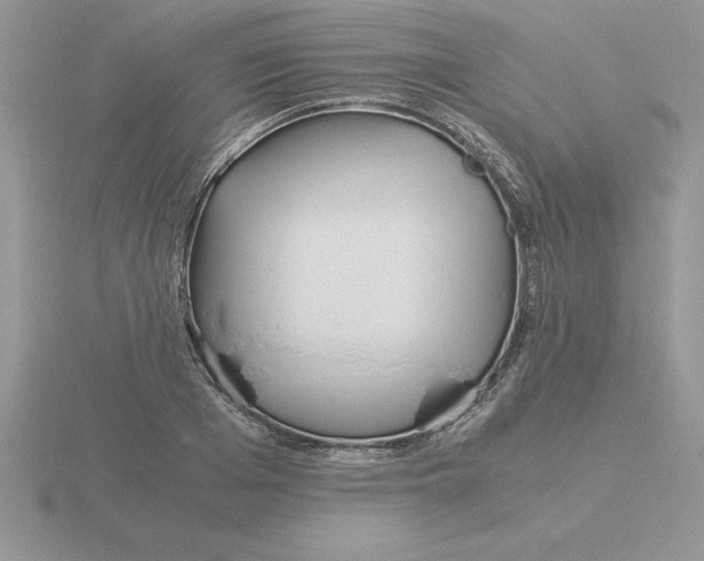 X0000115820985200912111247