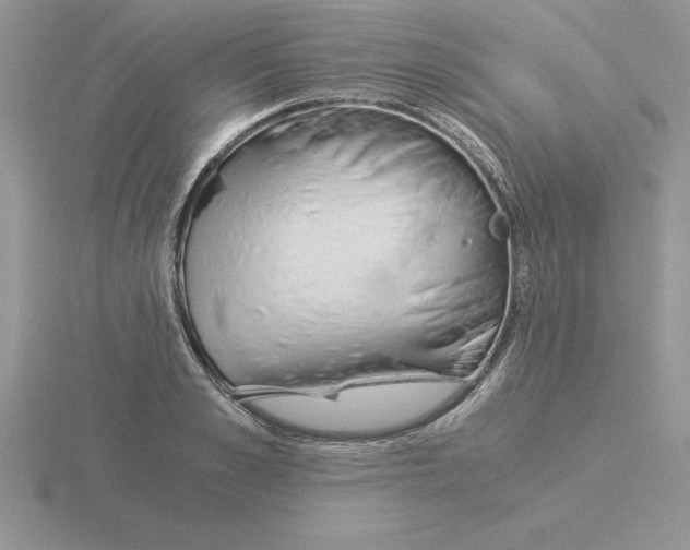 X0000115820989200912111247