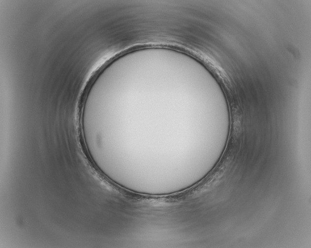 X0000115820990200912111247