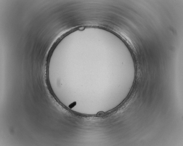 X0000115820992200912111247