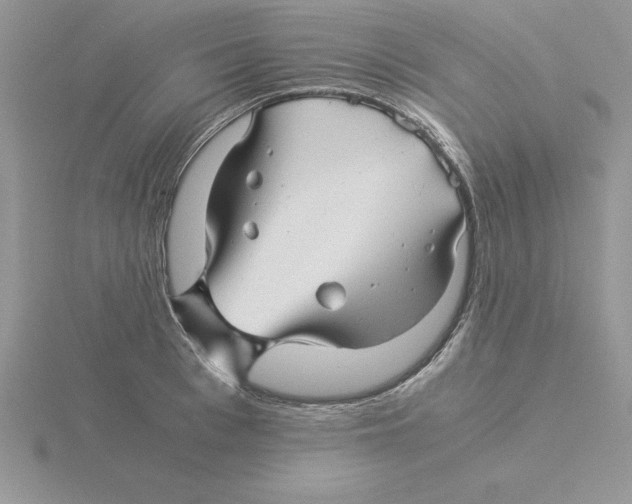 X0000115820993200912111247