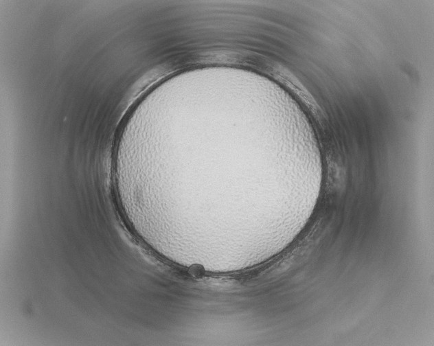 X0000115820994200912111247