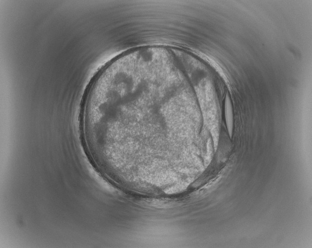 X0000115820995200912111247