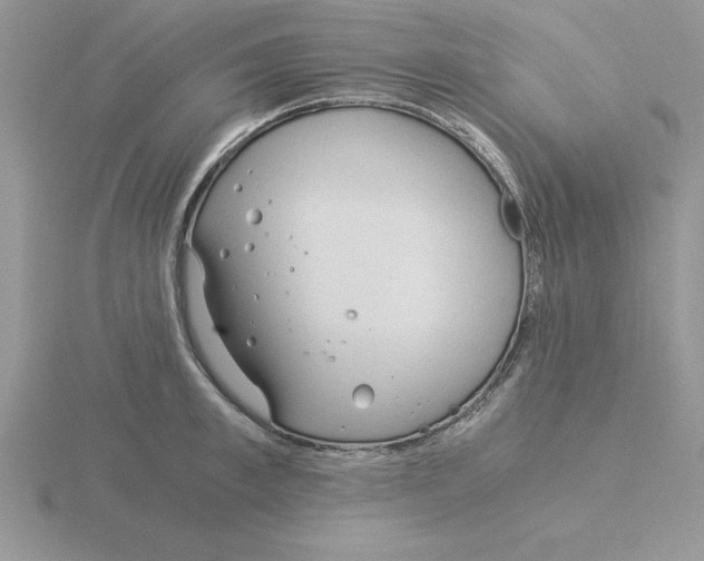 X0000115820997200912111247