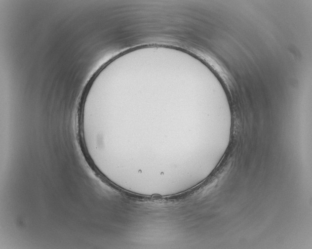 X0000115820999200912111247