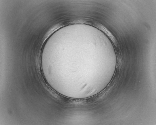 X0000115821002200912111247