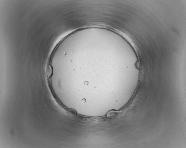 X0000115821003200912111247