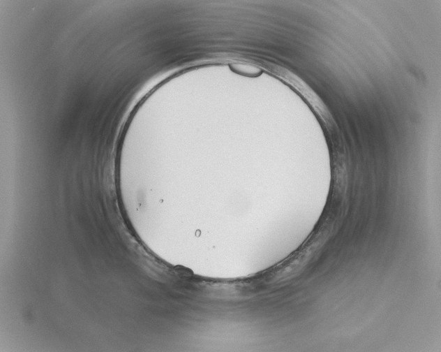 X0000115821004200912111247