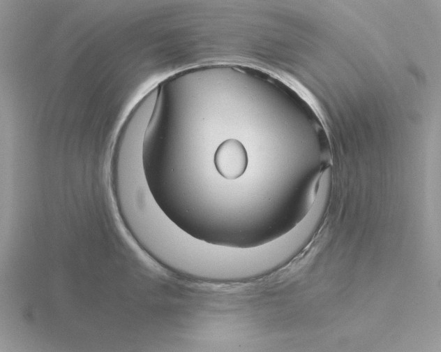 X0000115821005200912111247