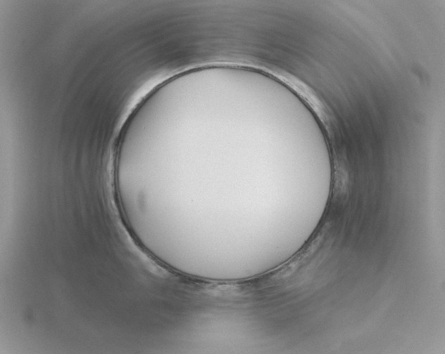 X0000115821006200912111247