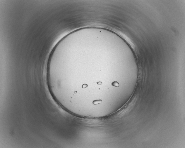 X0000115821007200912111247