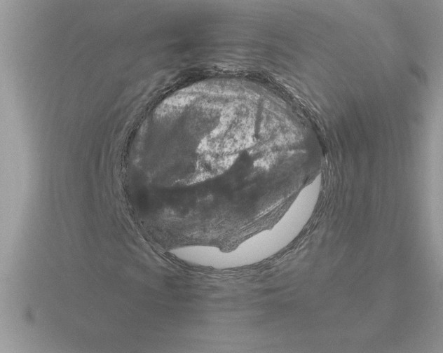 X0000115821009200912111246