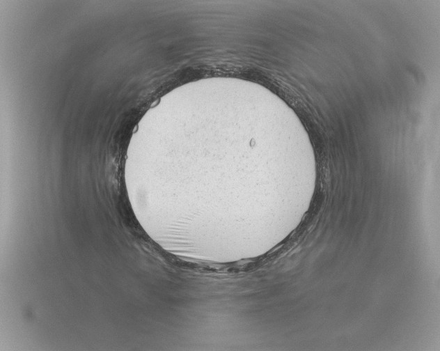 X0000115821010200912111246