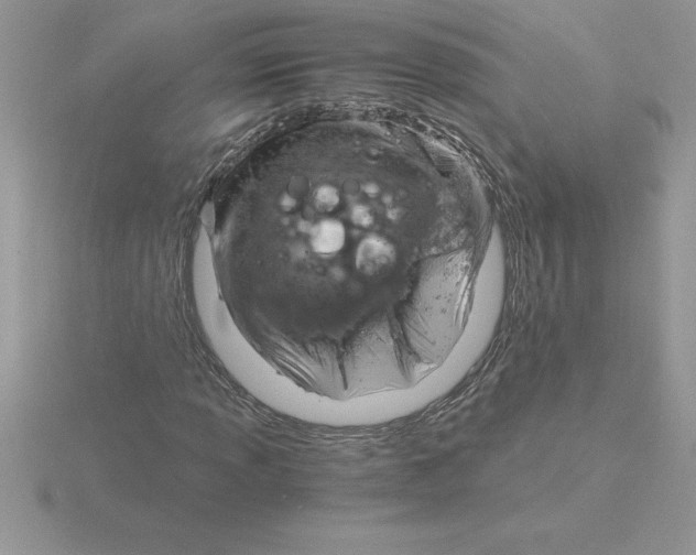 X0000115821013200912111246