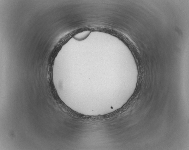 X0000115821016200912111246