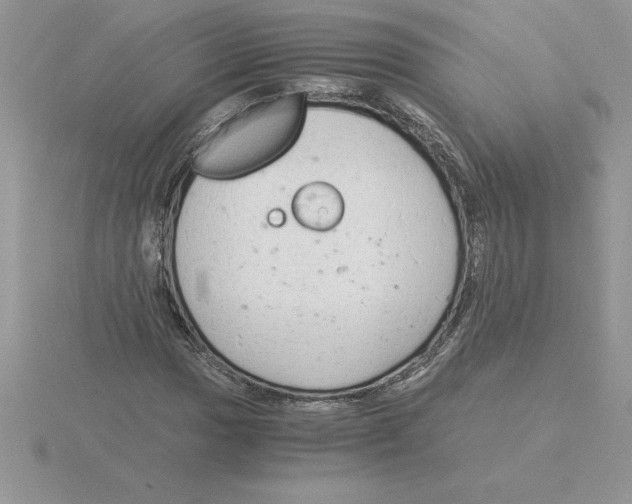 X0000115821017200912111246