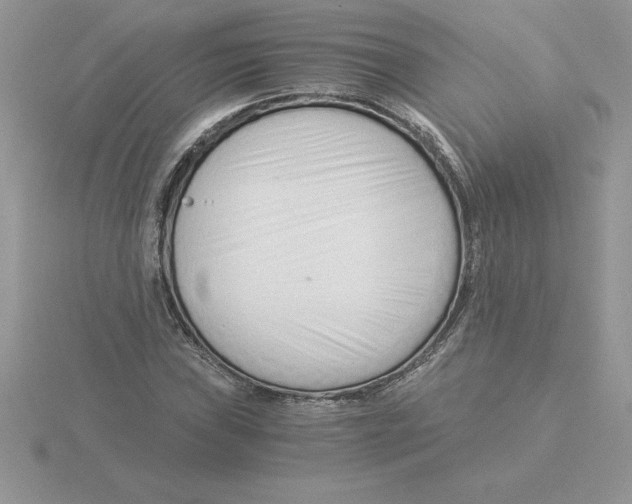 X0000115821019200912111246