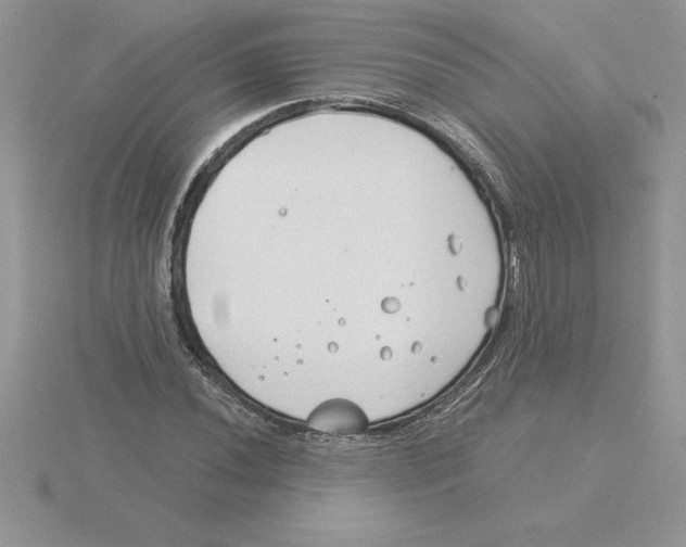 X0000115821020200912111246