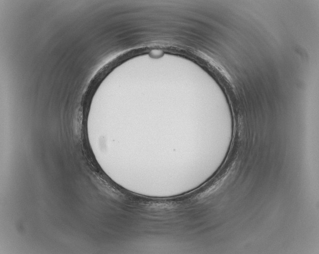 X0000115821021200912111246