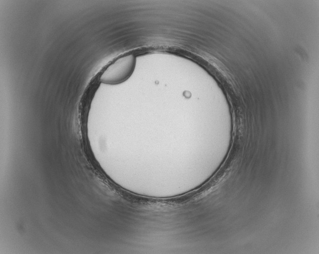 X0000115821022200912111246