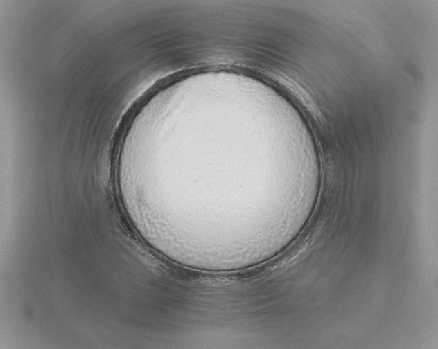 X0000115821023200912111246