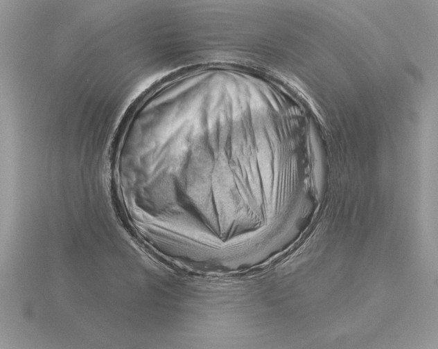 X0000115821024200912111246