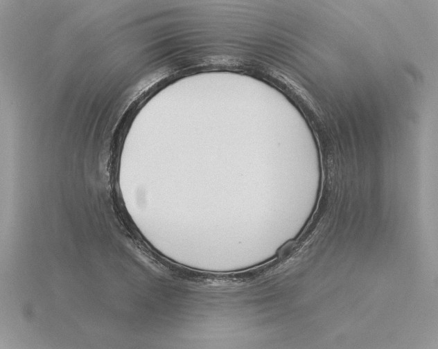 X0000115821026200912111246