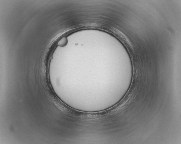 X0000115821027200912111246