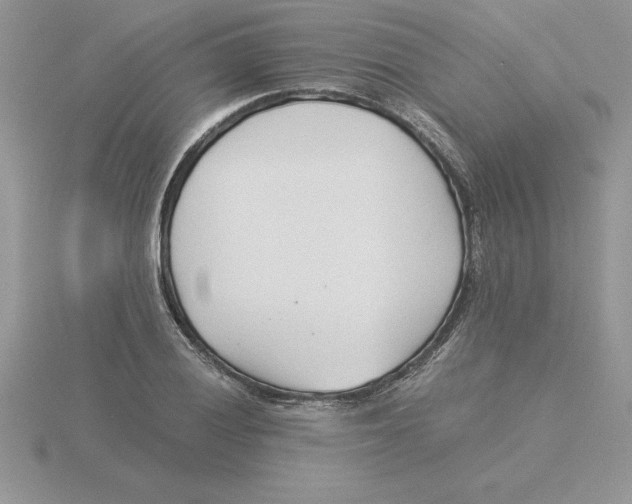 X0000115821028200912111247