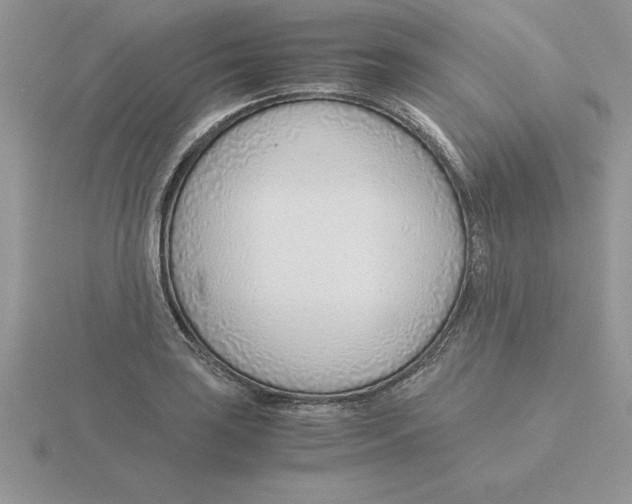 X0000115821035200912111247