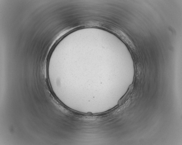 X0000115821036200912111247