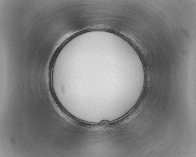 X0000115821038200912111247