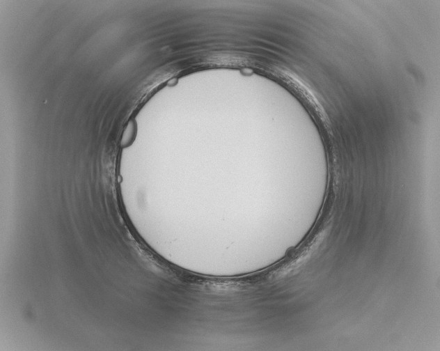 X0000115821041200912111247