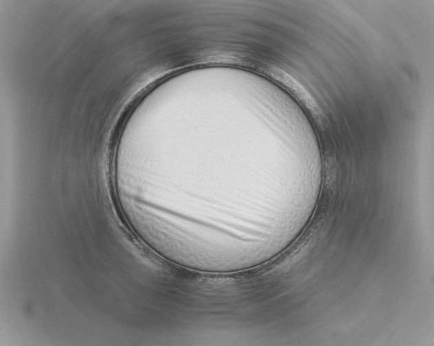 X0000115821043200912111247