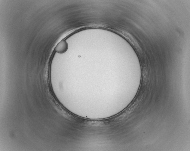 X0000115821044200912111247