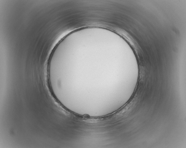 X0000115821048200912111247