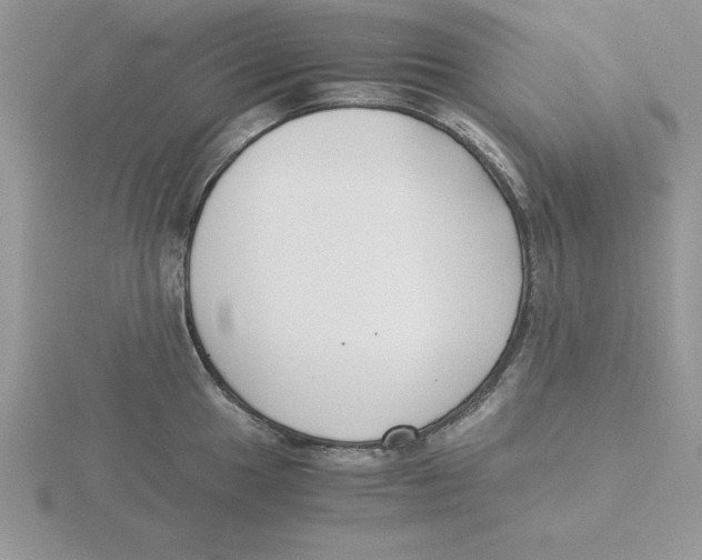 X0000115821049200912111247