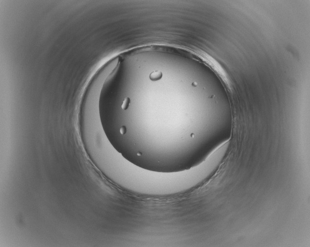 X0000115821051200912111247