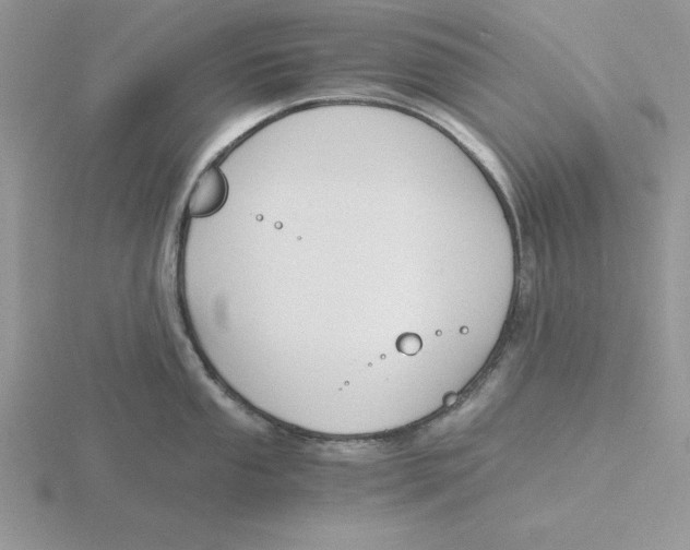 X0000115821053200912111247