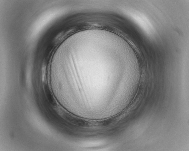 X0000115821055200912111247