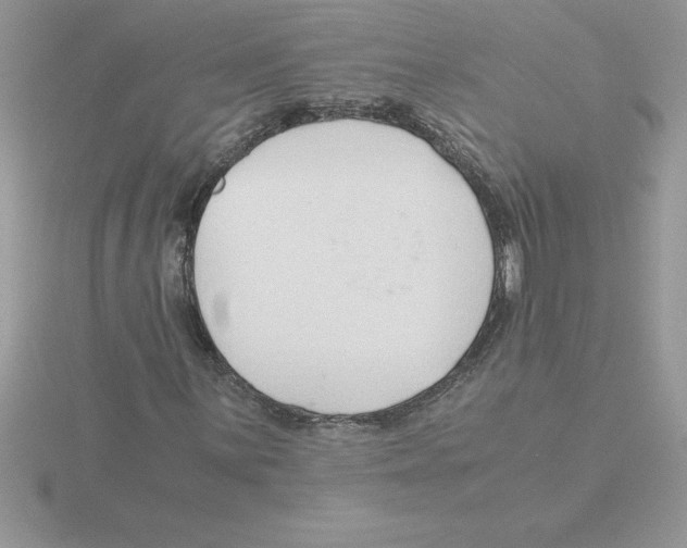 X0000115821059200912111246